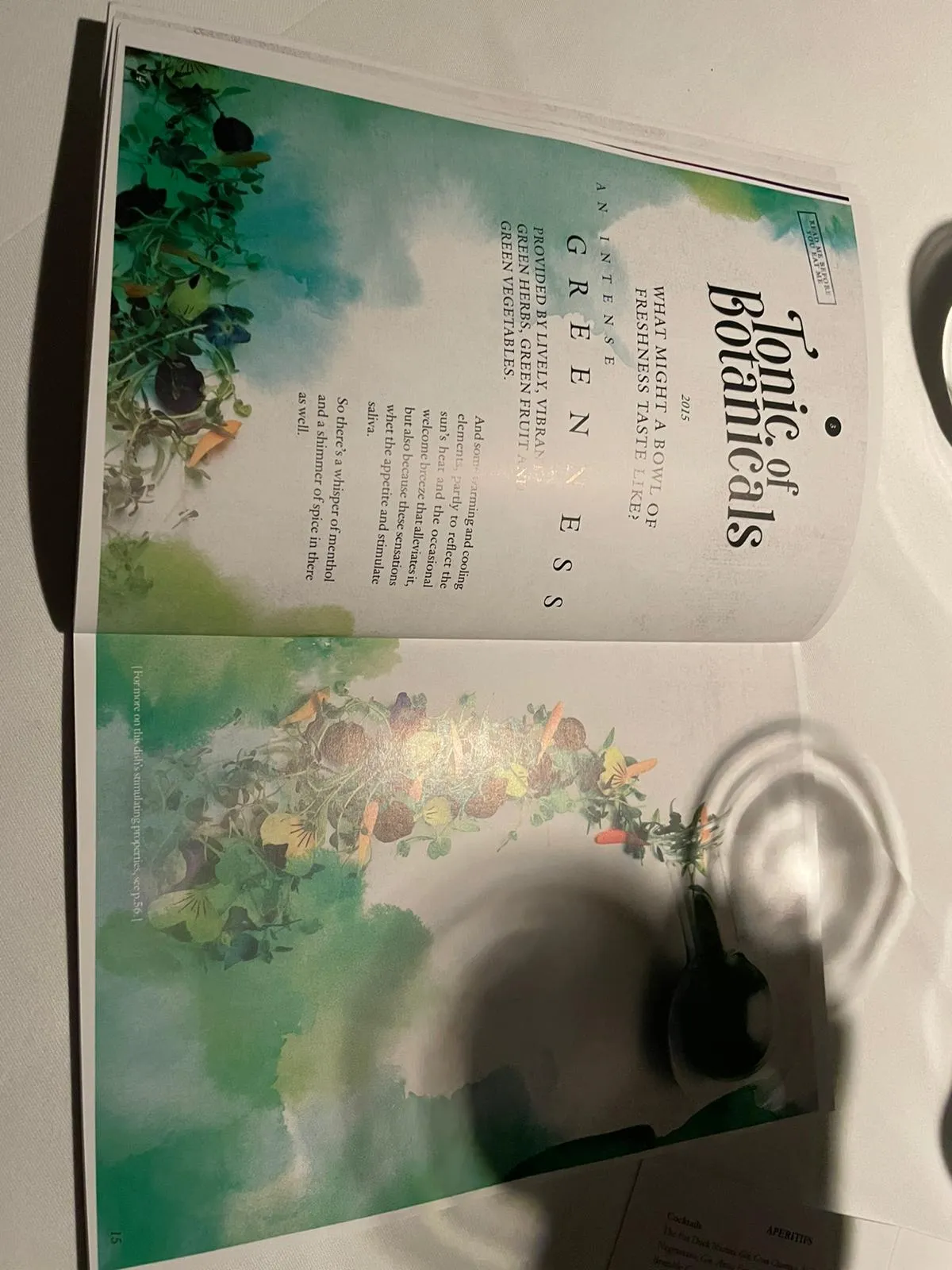 The Fat Duck photograph